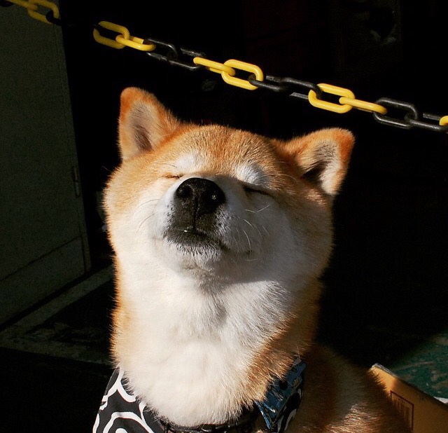 跨越太平洋的制胜一击，易建联如何用一记绝杀唤醒中国篮球的星辰