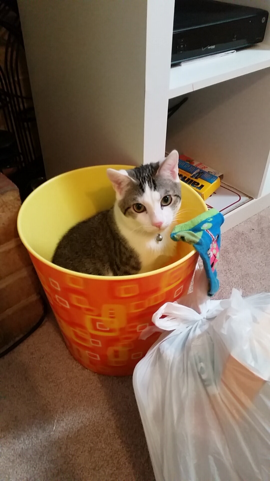 险胜0.01秒，马琳如何用一场剑走偏锋的胜利，为马来西亚羽毛球刻下唯一历史