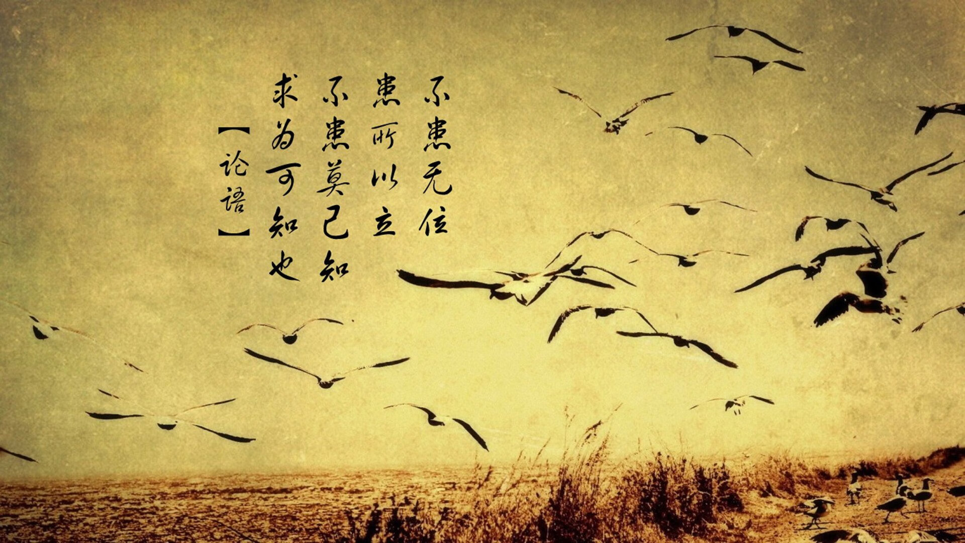 个体神性与体系之力,C罗单骑与埃及铁流的终极对辩