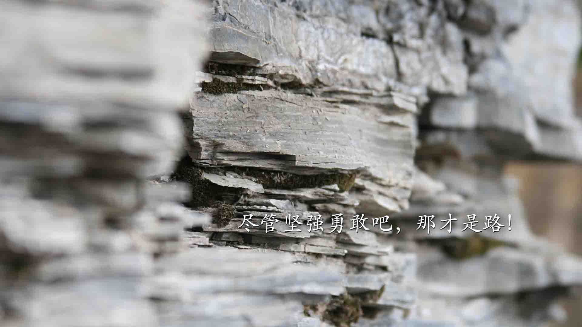 虚构的慈善赛,当苏亚雷斯在切尔西与南非的唯一舞台上戴帽