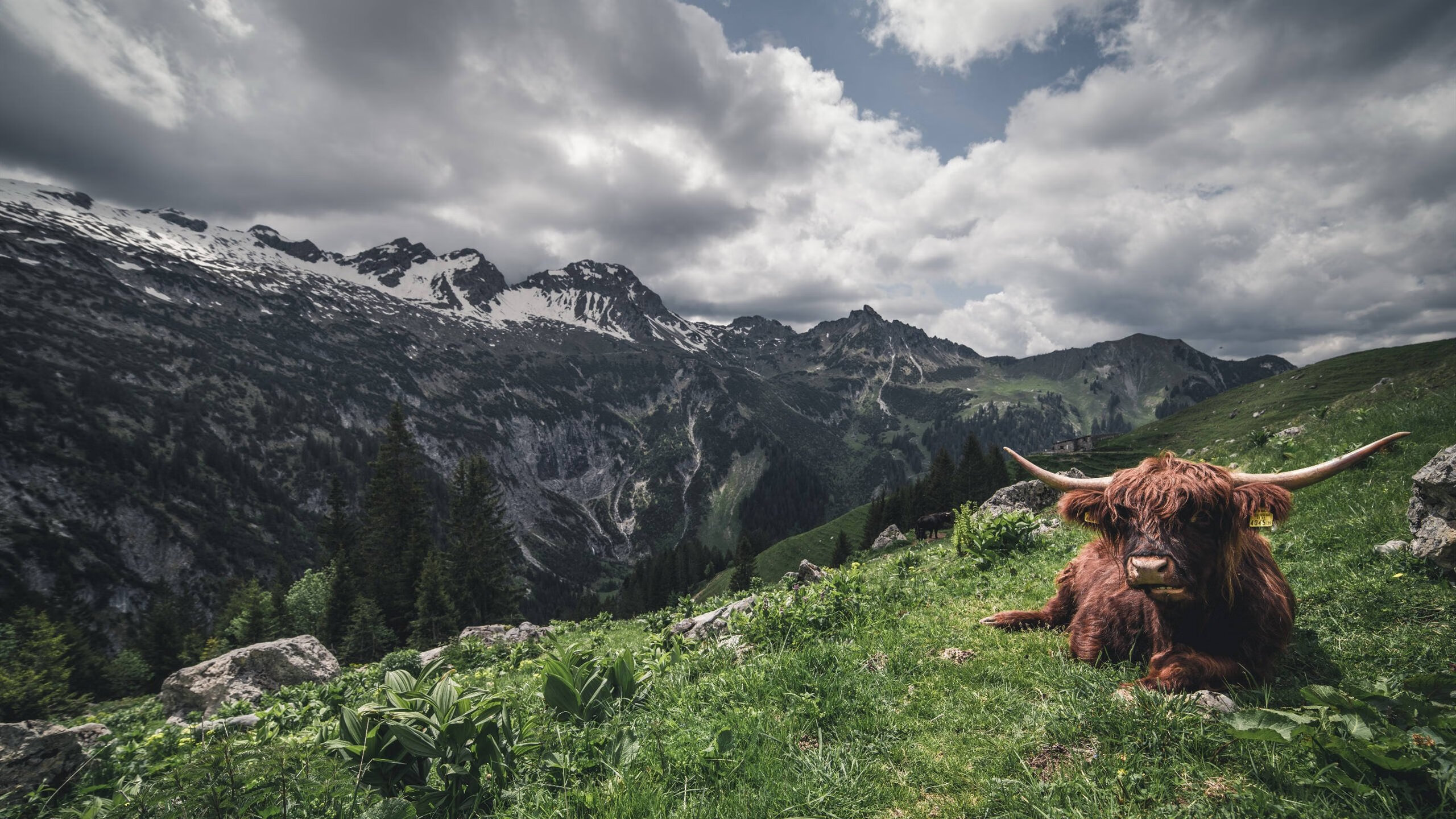 英伦铁骑碾过巴斯克山城，一场被重新定义的西决生死战