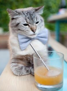 他是今夜唯一的太阳，欧冠半决赛之夜，迪亚斯全场最佳无争议