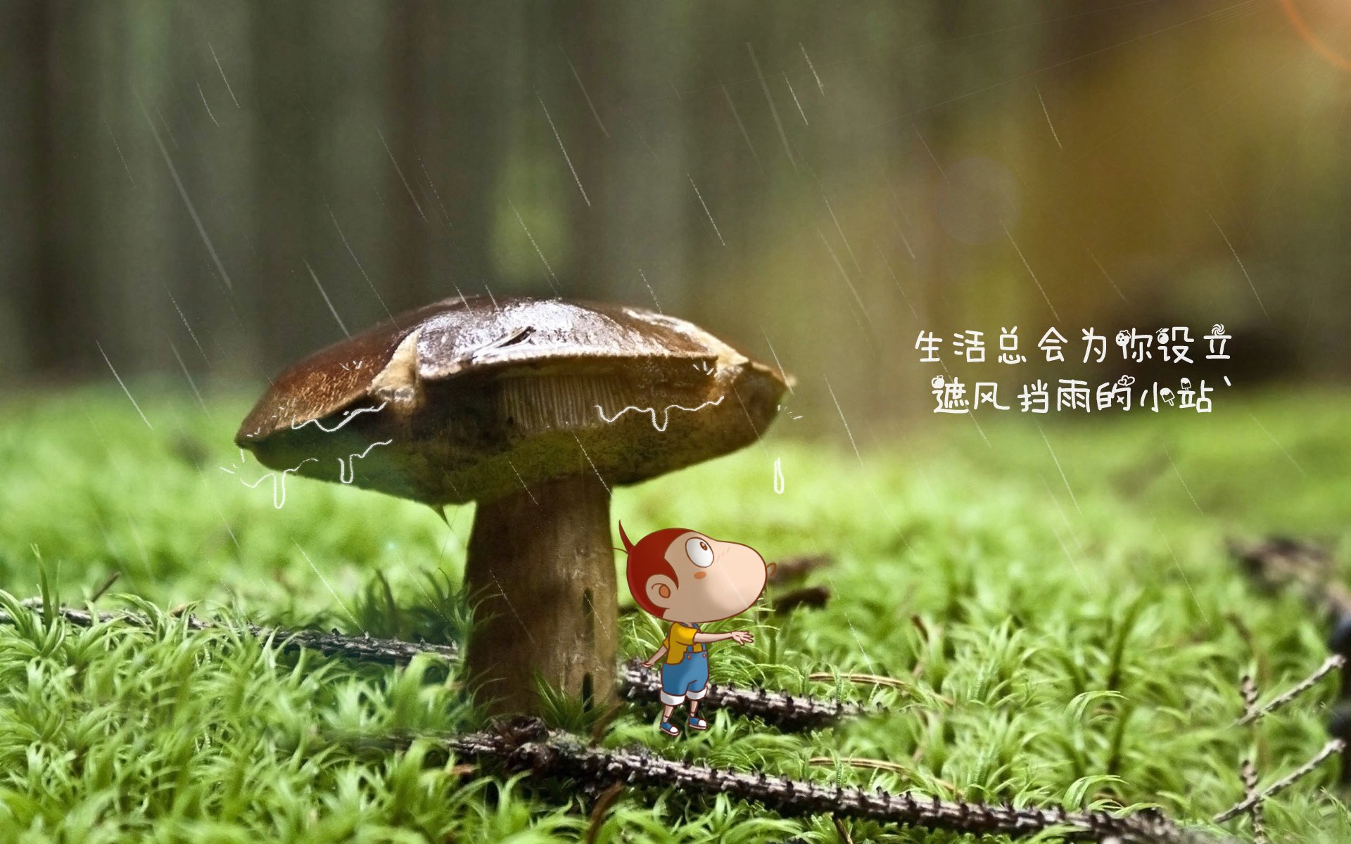 2026世界杯D组惊天逆转,厄瓜多尔绝杀葡萄牙,阿方索·戴维斯星光闪耀