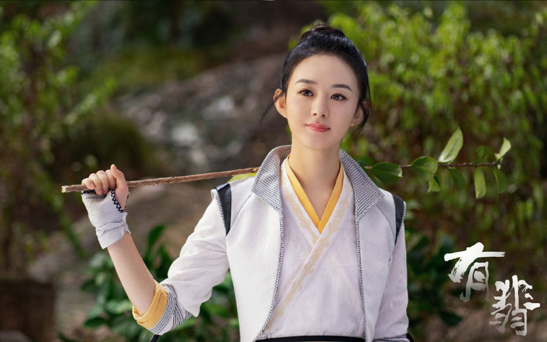 暗夜中的飓风,当厄瓜多尔在2026世界杯D组碾压荷兰,哈兰德用光芒刺破预言