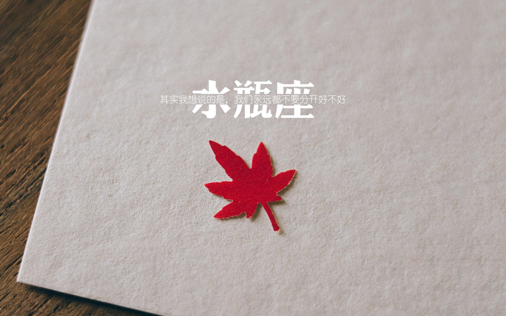 孤星闪耀，孙兴慜如何以一人之力，改写2026世界杯B组厄瓜多尔与波兰的战术剧本