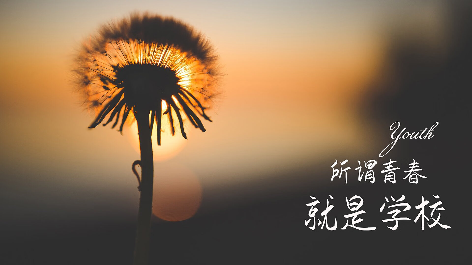 橙衣军的黄昏与红魔的救赎,2026世界杯D组生死战,库尔图瓦封神之夜